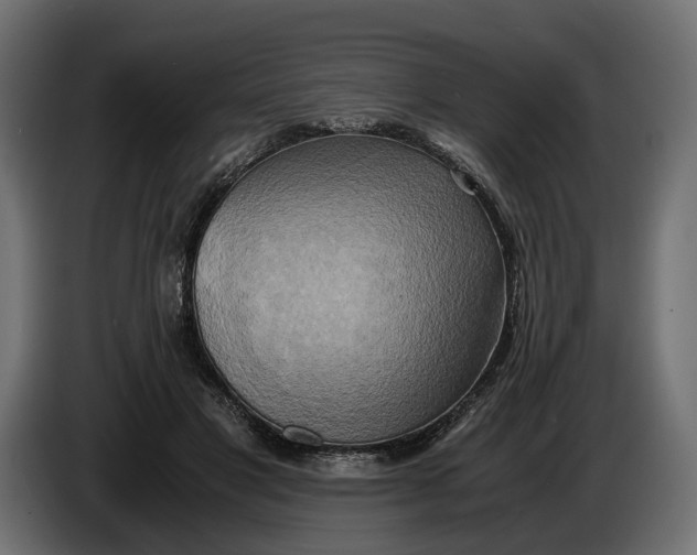 X0000086010501200704131831