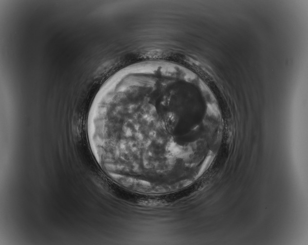X0000086010503200704131831
