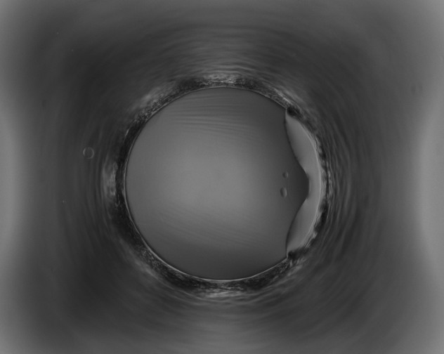 X0000086010504200704131831