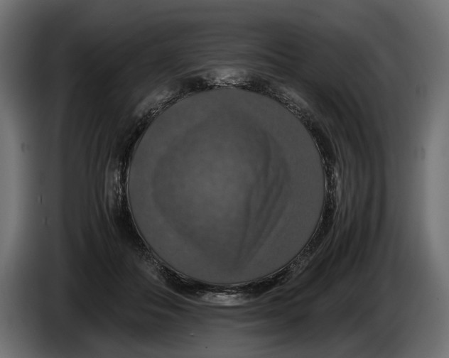 X0000086010506200704131831