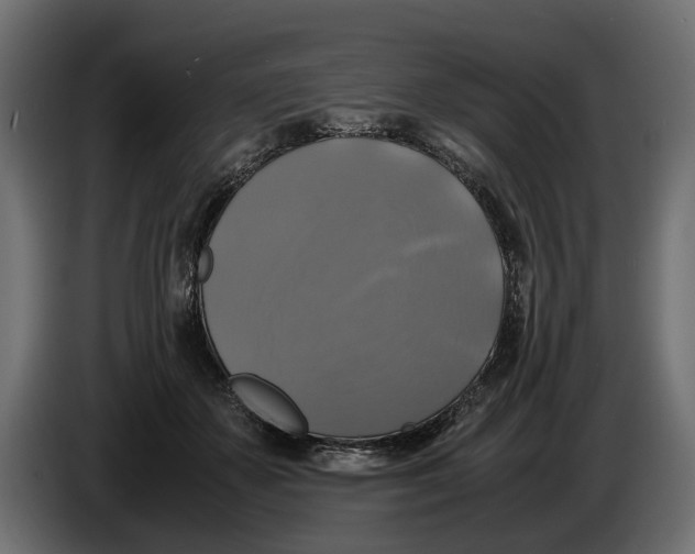 X0000086010507200704131831