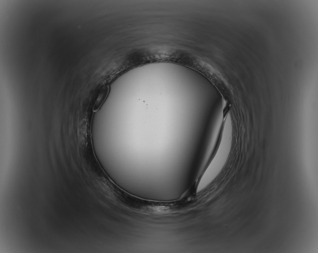 X0000086010509200704131831
