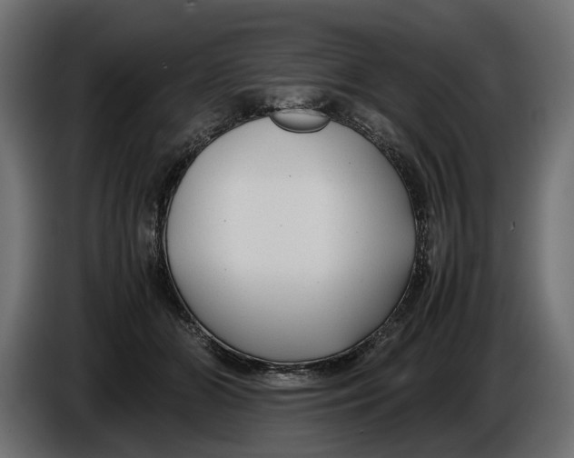 X0000086010510200704131830