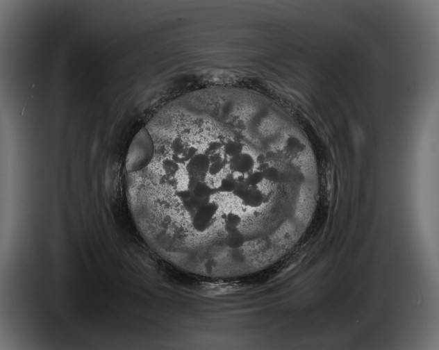 X0000086010511200704131830