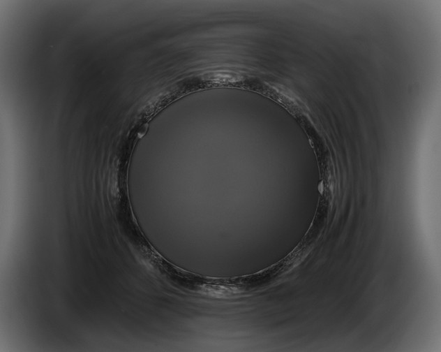X0000086010512200704131830