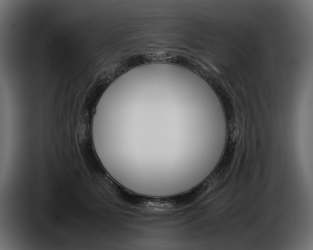 X0000086010515200704131830