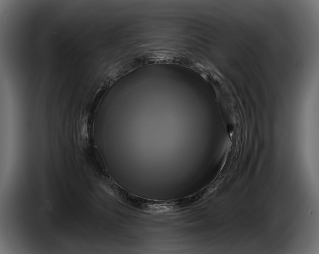 X0000086010516200704131830