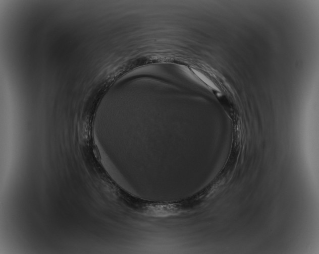 X0000086010517200704131830