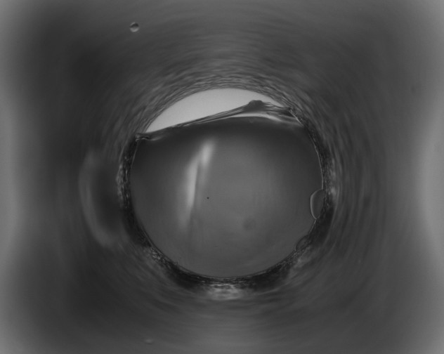 X0000086010519200704131830