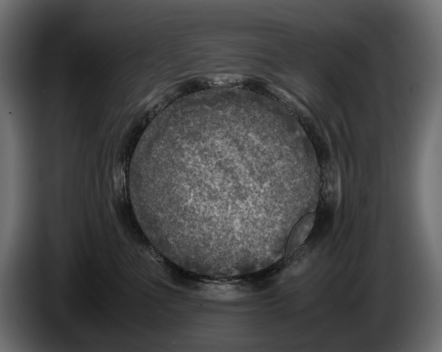 X0000086010523200704131830