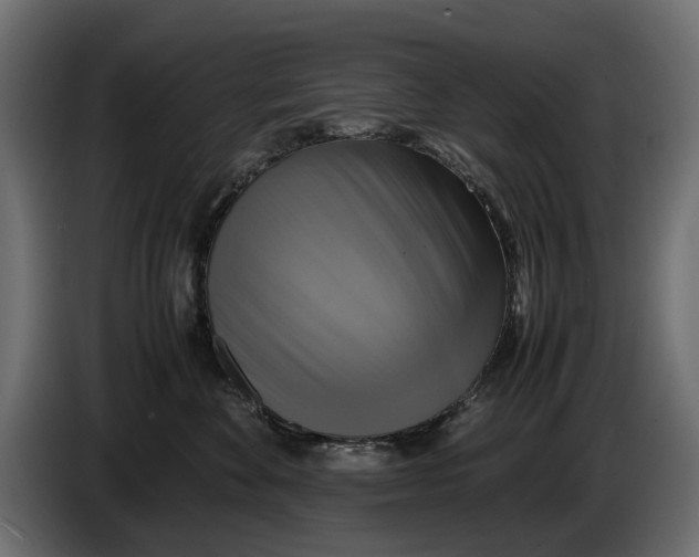 X0000086010524200704131830