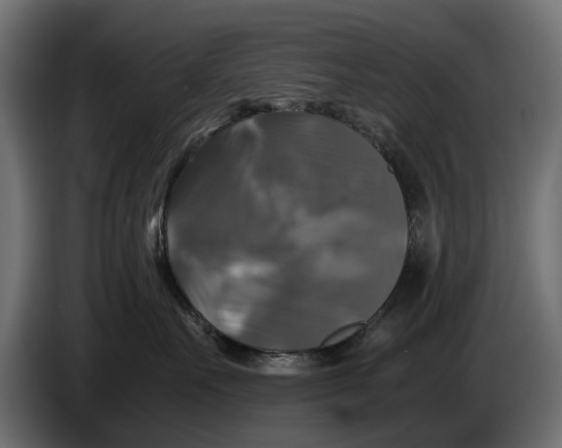 X0000086010527200704131830