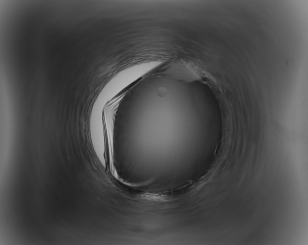 X0000086010528200704131830