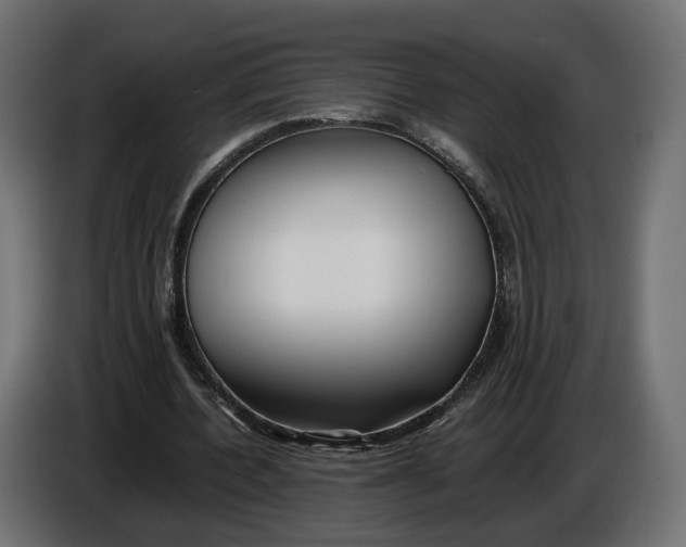 X0000086010532200704131830