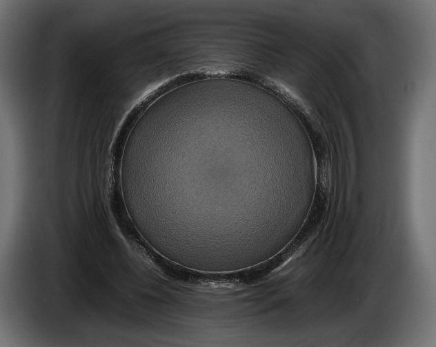 X0000086010540200704131830