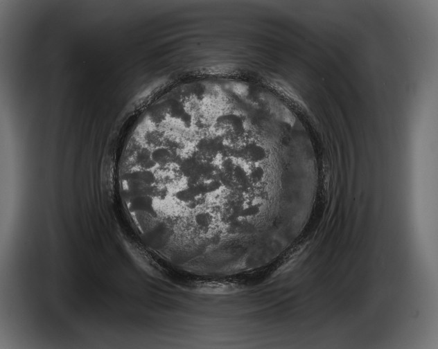 X0000086010542200704131830