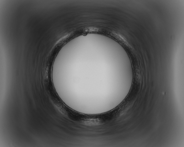 X0000086010543200704131830