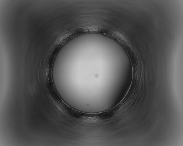 X0000086010548200704131830