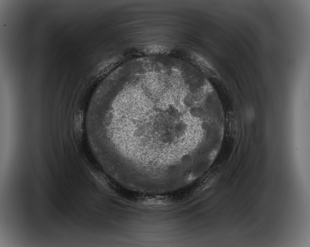 X0000086010550200704131830