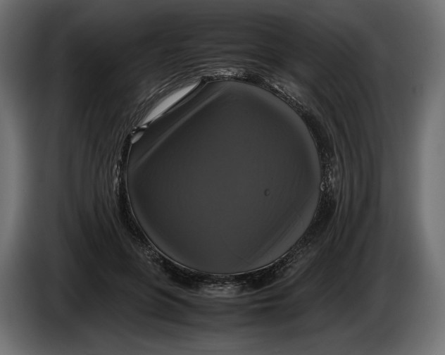 X0000086010551200704131830