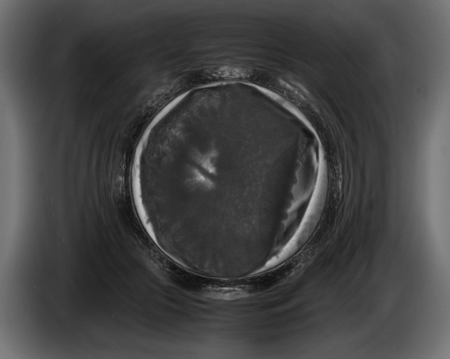 X0000086010553200704131830