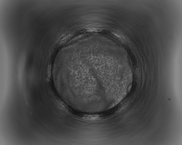 X0000086010554200704131830
