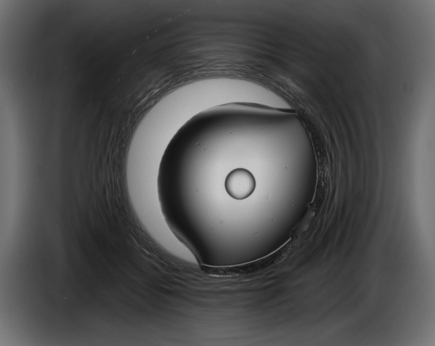 X0000086010556200704131830