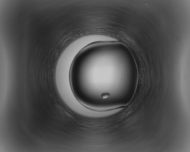 X0000086010558200704131830