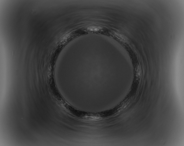 X0000086010559200704131830