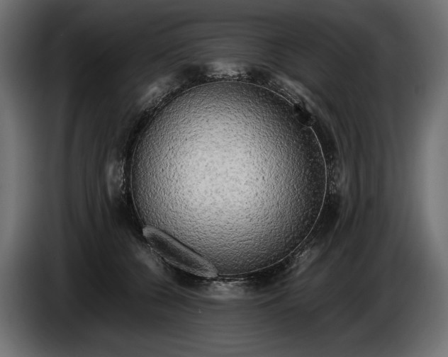 X0000086010560200704131830