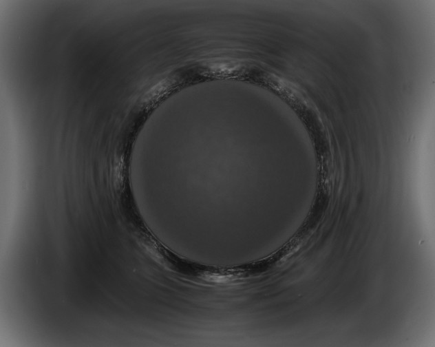 X0000086010563200704131830