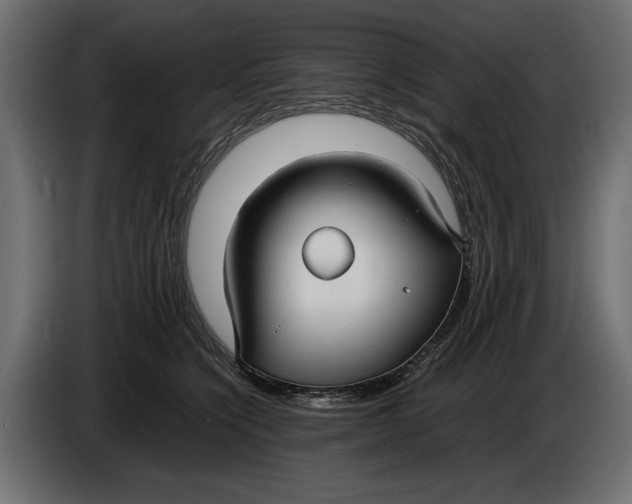X0000086010564200704131830