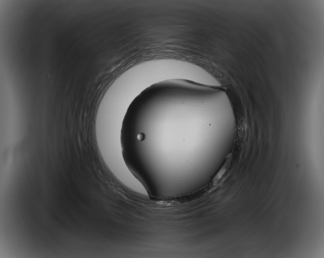 X0000086010566200704131830