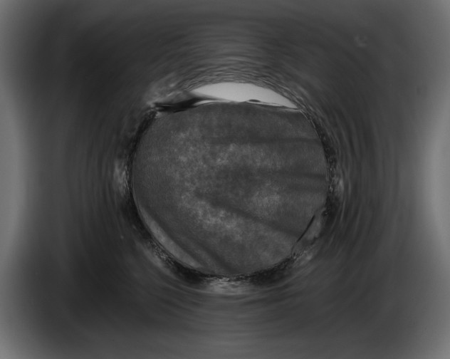 X0000086010568200704131830