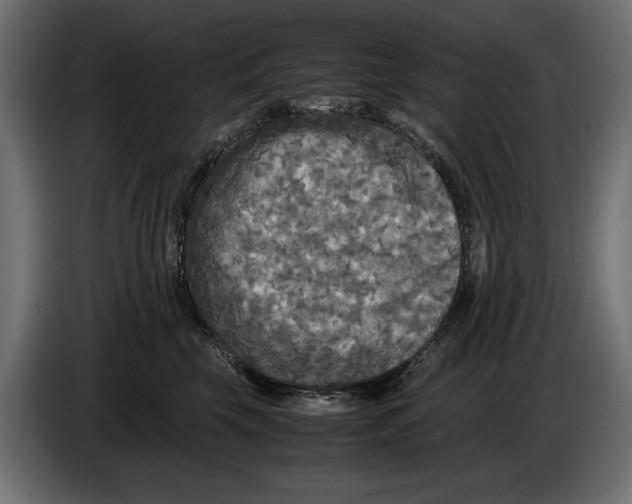 X0000086010569200704131830