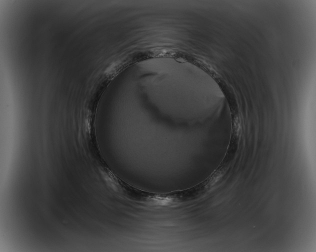 X0000086010570200704131830