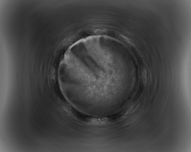 X0000086010571200704131830
