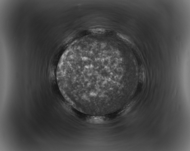 X0000086010573200704131830