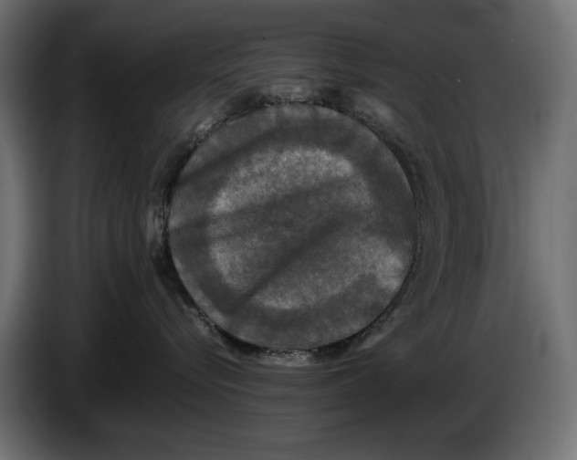 X0000086010576200704131830