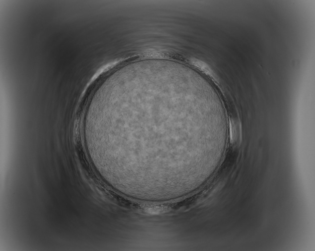 X0000086010579200704131830