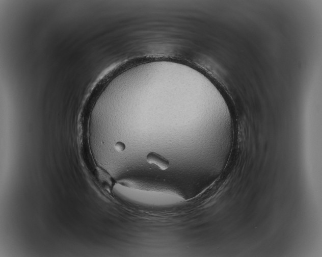 X0000086010584200704131829