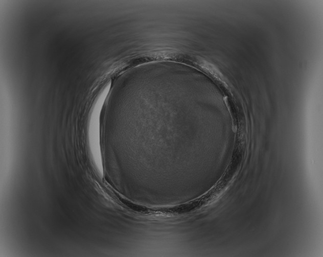 X0000086010585200704131829