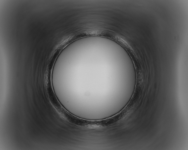 X0000086010586200704131829