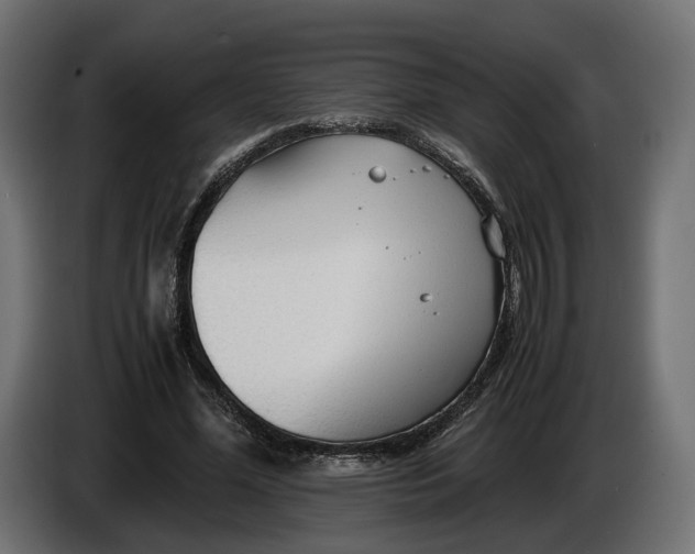 X0000086010588200704131829