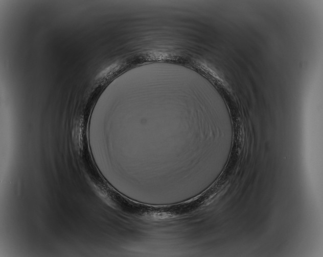X0000086010590200704131829