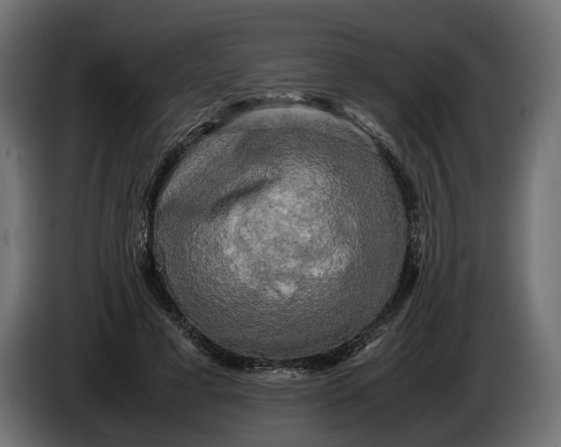 X0000086010593200704131829