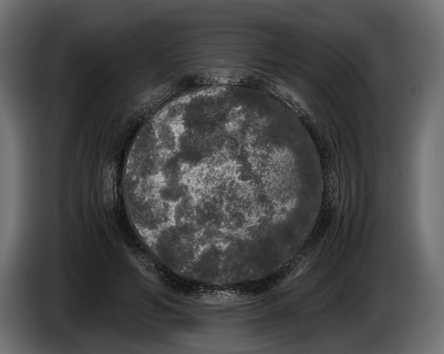 X0000086010594200704131829