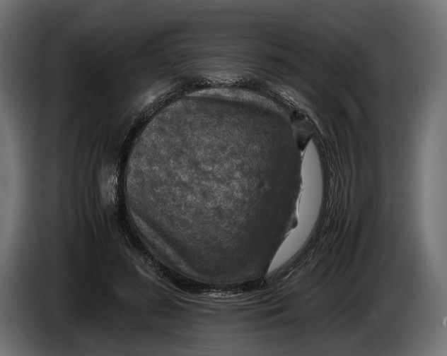 X0000086010596200704131829