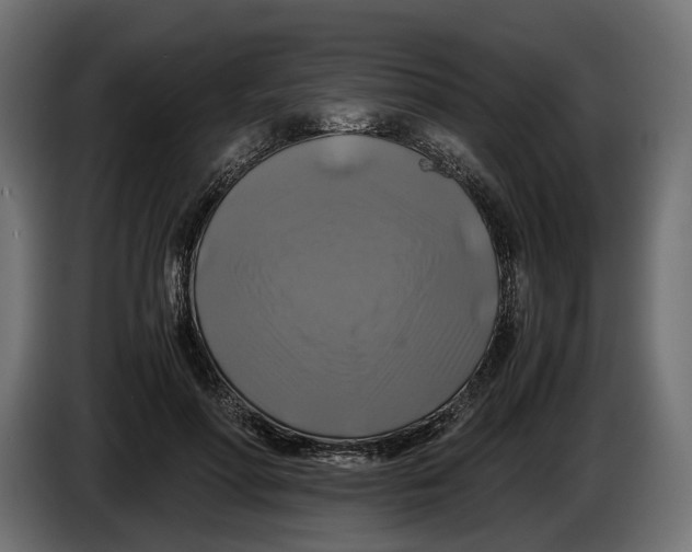 X0000086010598200704131829