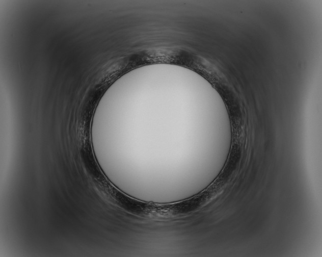 X0000086010599200704131829